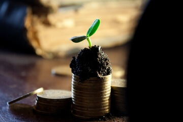 photography-leaf-flower-pile-green-desktop-919601-pxhere.com-2