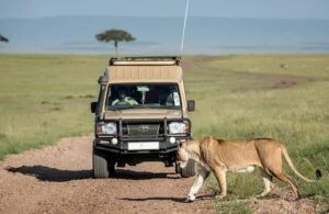 Uganda self drive safari
