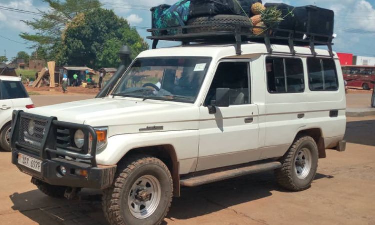 SAfari Land cruiser