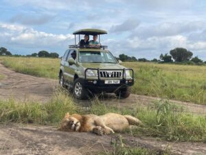 4x4 safari land cruiser prado