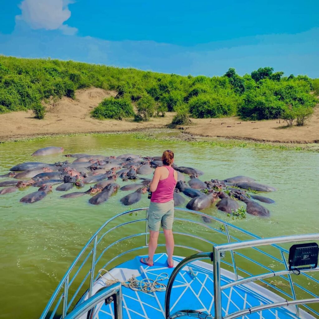 Renting A car in uganda from France