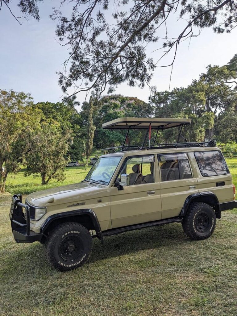 Pop -Up Roof Land Cruiser