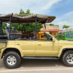 Car Rental in Uganda for a Safari Holiday: A Simple Way to Explore