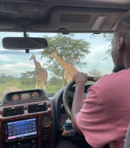 Rent A car In Uganda